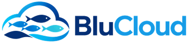 BluCloud Logo